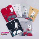 تیشرت مردانه bulls (9167)