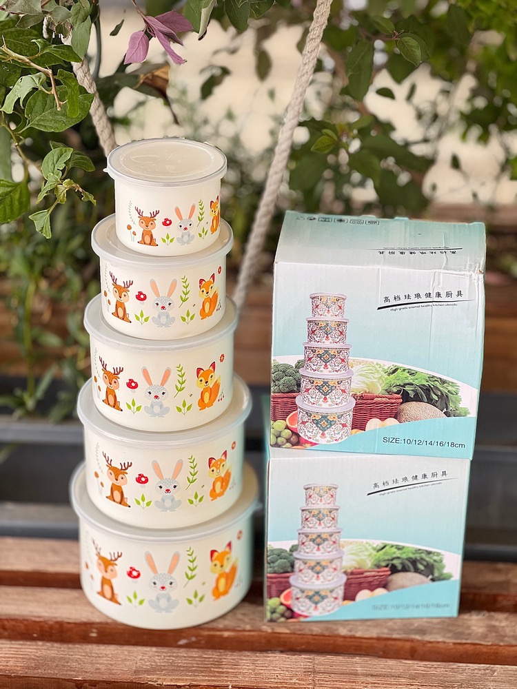 ظروف پنج تیکه لعابی(5958)